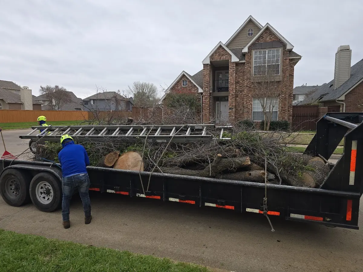 Expert Crown Reduction with proper safety equipment in Columbus City
